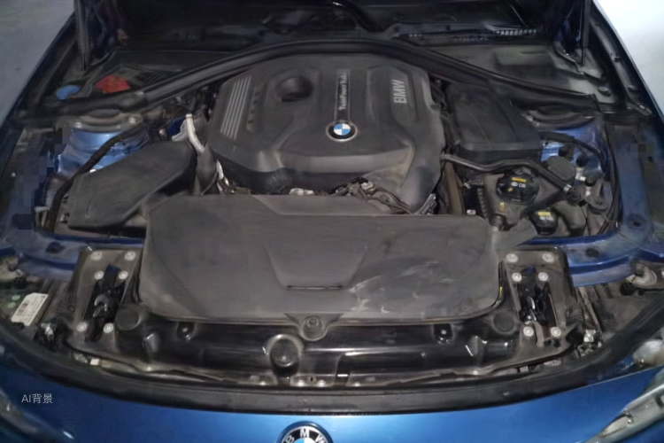 BMW 3 Series 2017 car image #22