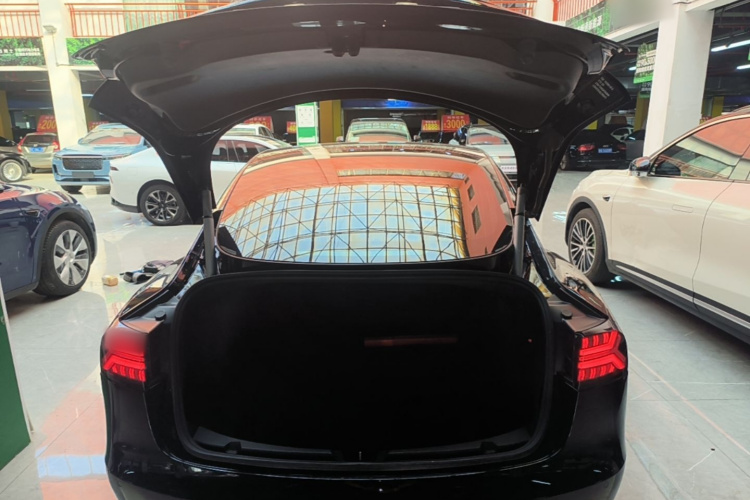 Tesla Model 3 2020 immagine di auto #19