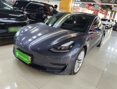Tesla Model 3 2020 car image 
