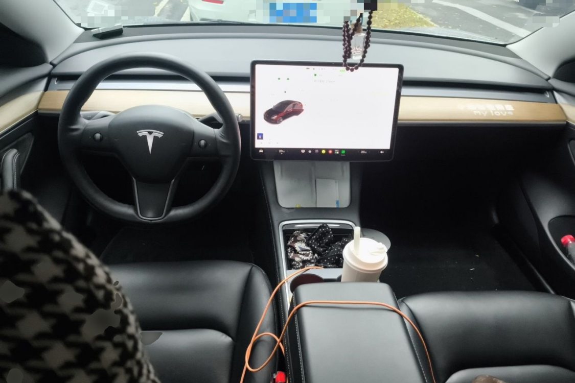 Tesla Model 3 2021 #21 Tesla Model 3 2021 car image #21