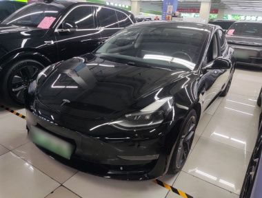 Tesla Model 3 2022 Tesla Model 3 2022 car image