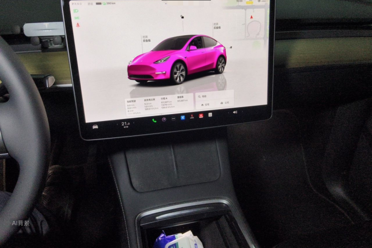 Tesla Model Y 2022 car image #15
