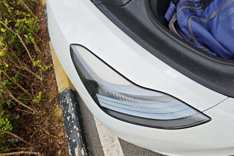 Tesla Model Y 2023 immagine di auto #8