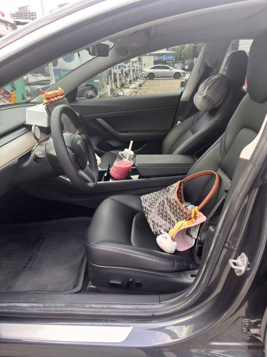 Tesla Model 3 2020 car image #2