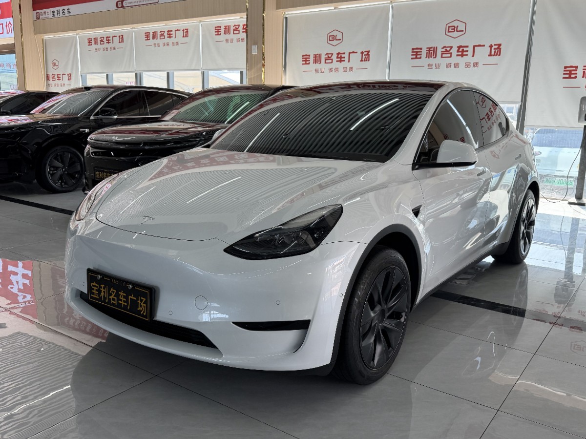 Tesla Model Y 2024 Tesla Model Y 2024 car image