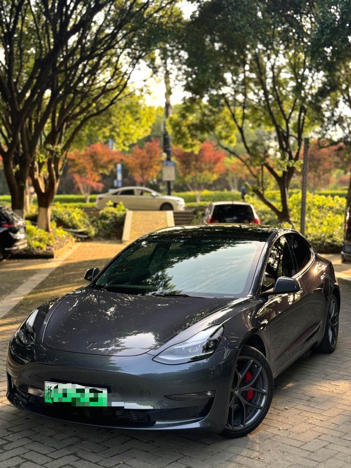 Tesla Model 3 2022 Tesla Model 3 2022 car image