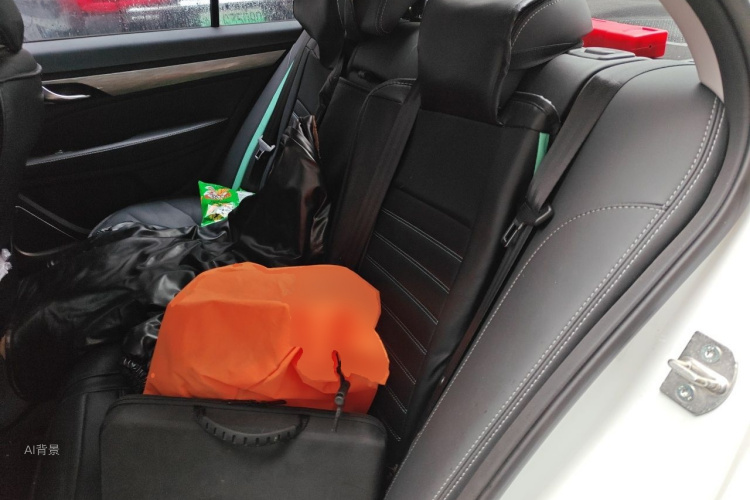 GEELY Emgrand 2019 immagine di auto #19