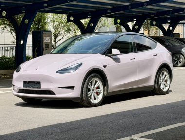 Tesla Model Y 2022 car image 