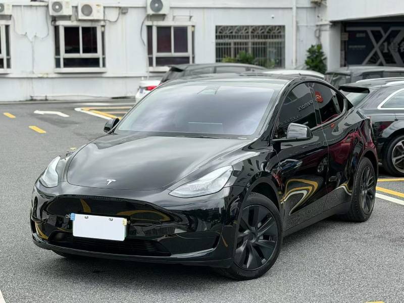 Tesla Model Y 2023 car image #7