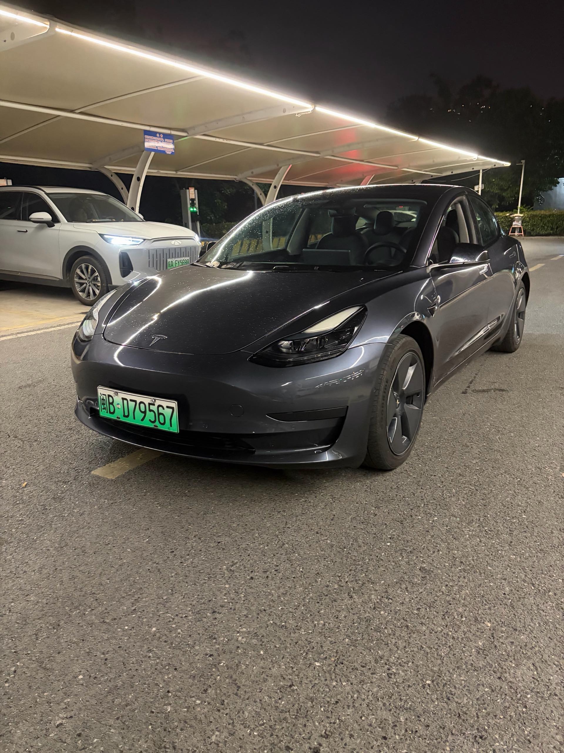 Tesla Model 3 2023 Tesla Model 3 2023 car image