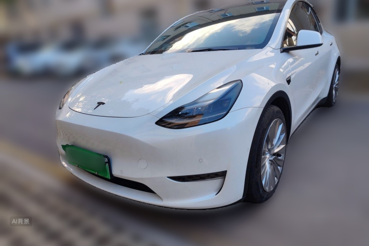 Tesla Model Y 2021 #2 Tesla Model Y 2021 car image #2