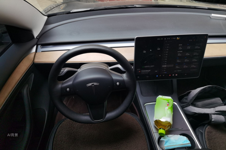 Tesla Model 3 2022 car image #12