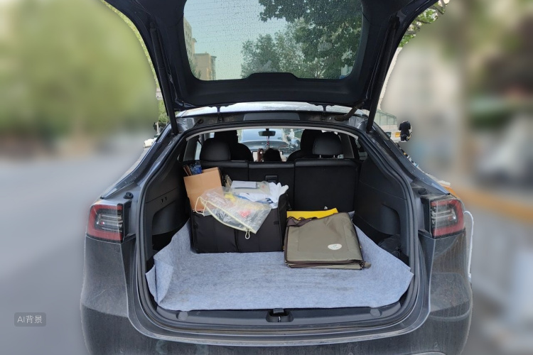 Tesla Model Y 2021 #21 Tesla Model Y 2021 car image #21