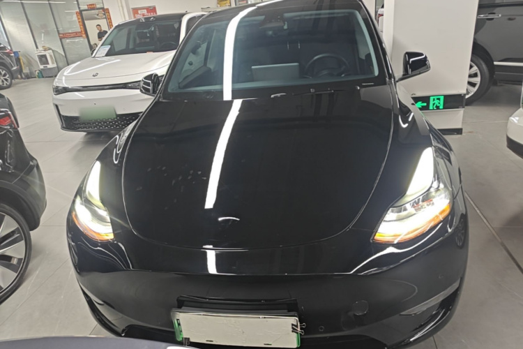 Tesla Model Y 2021 #3 Tesla Model Y 2021 car image #3