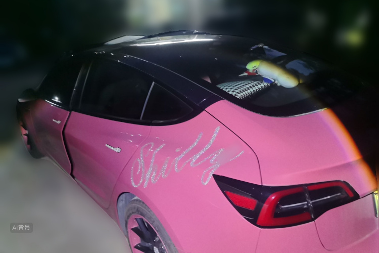 Tesla Model 3 2022 car image #5