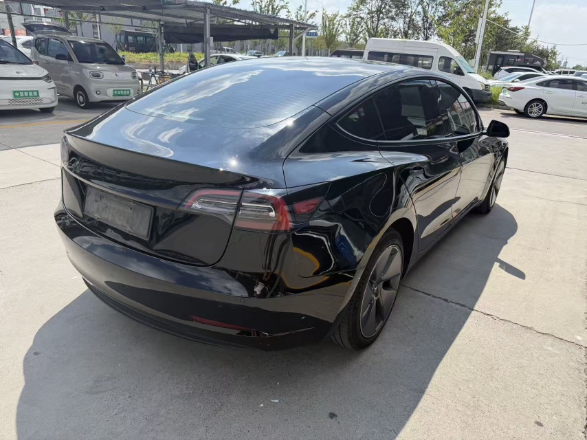Tesla Model 3 2023 #3 Tesla Model 3 2023 car image #3