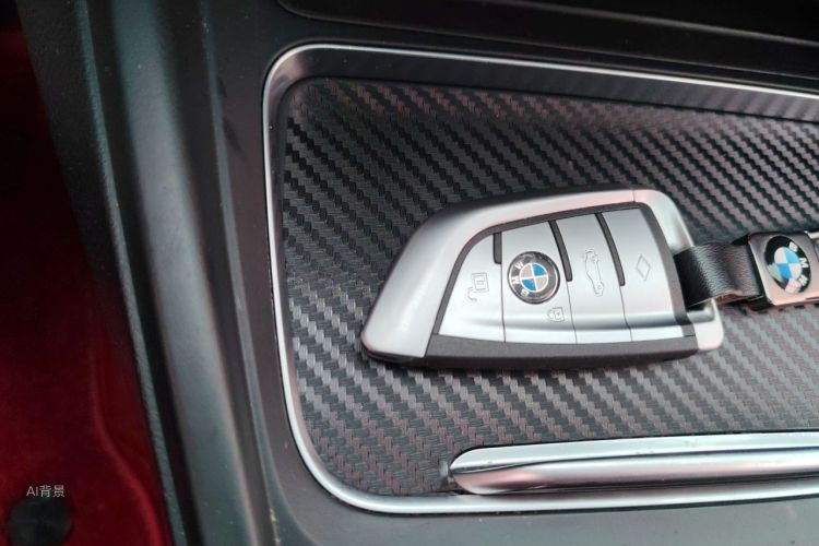 BMW 3 Series 2016 car image #10