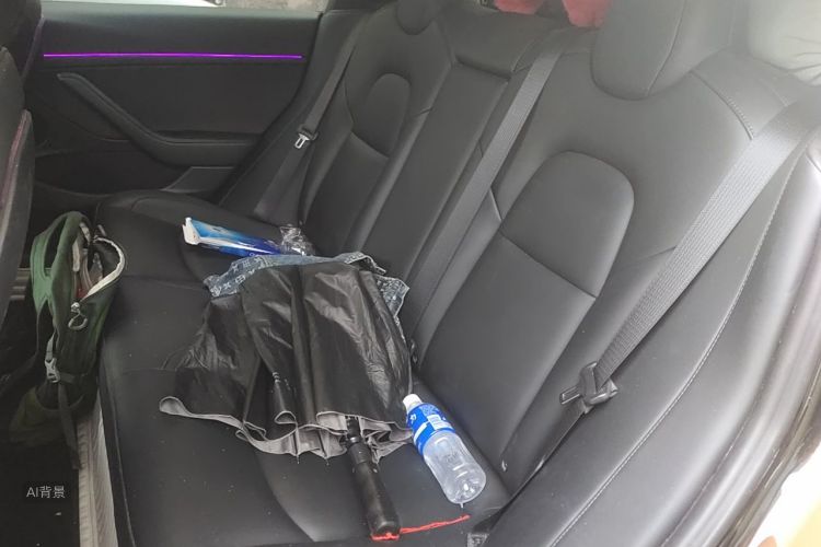 Tesla Model 3 2021 car image #19