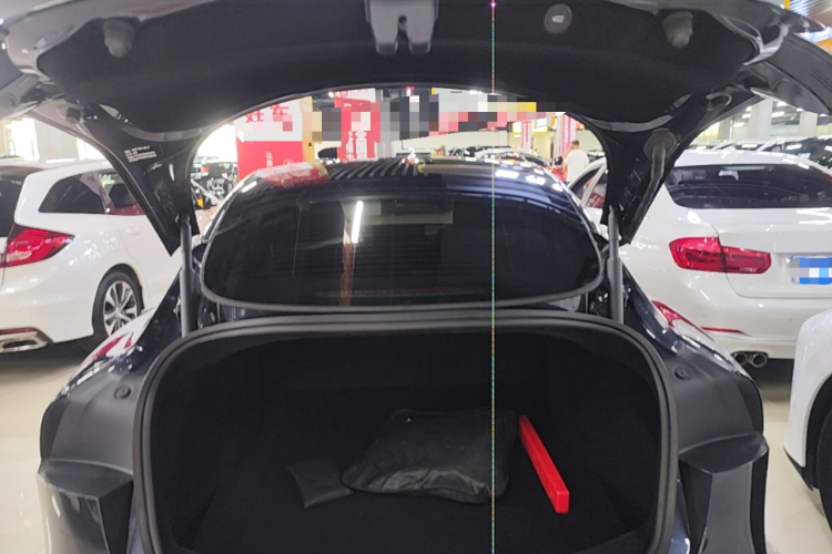 Tesla Model 3 2024 car image #21