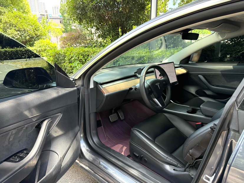 Tesla Model 3 2020 #8 Tesla Model 3 2020 car image #8