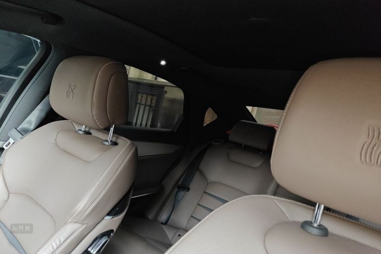 BYD Han 2021 car image #20