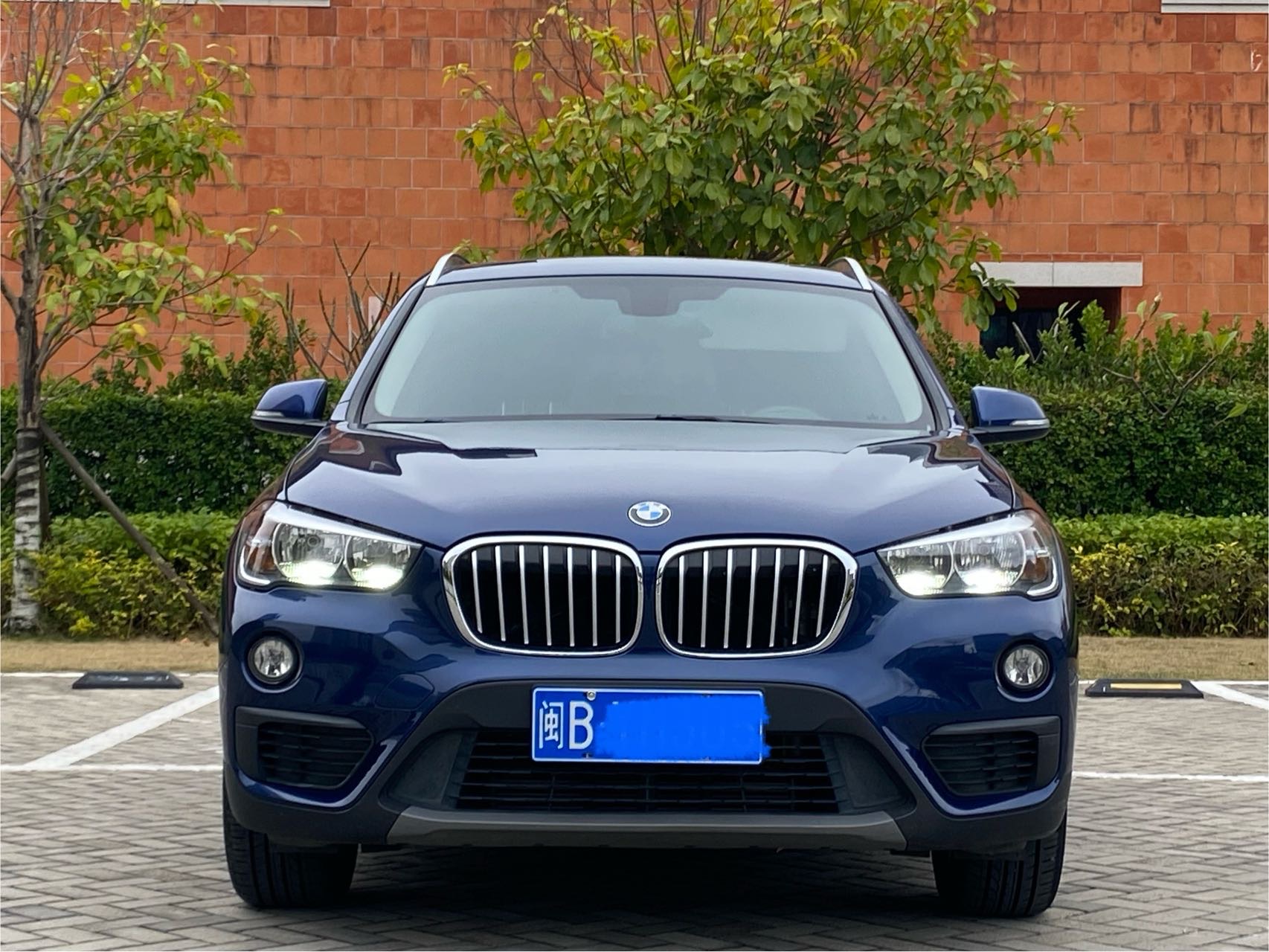 BMW X1 2018 imagem de carro #2