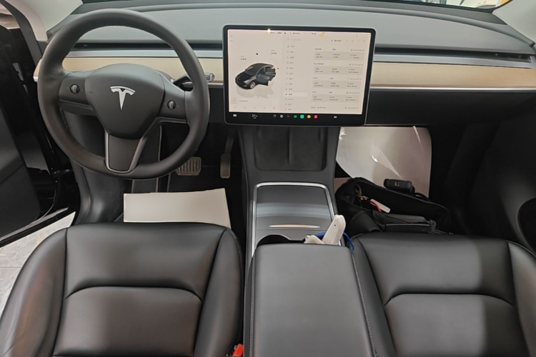 Tesla Model Y 2022 car image #10