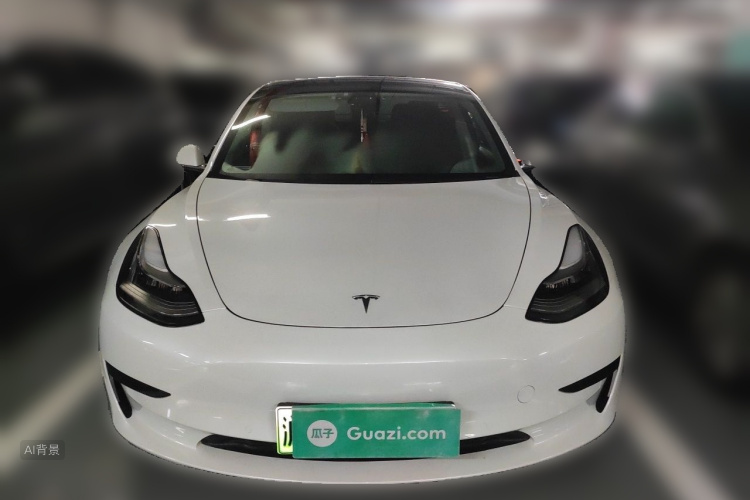 Tesla Model 3 2020 car image #3