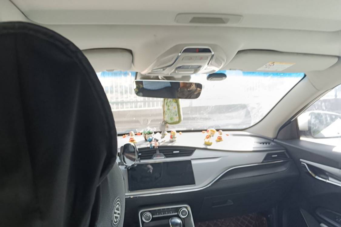 GEELY Binray 2018 imagen de coche #20