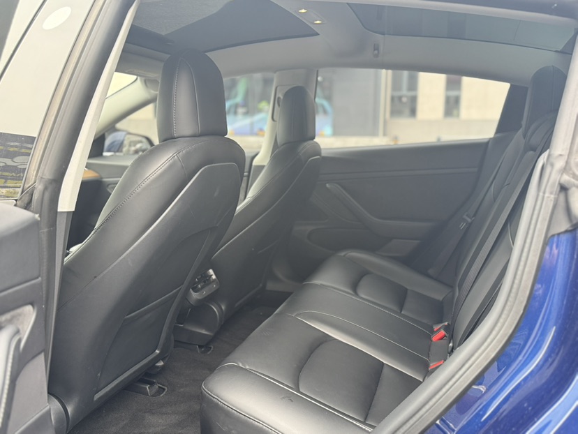 Tesla Model 3 2020 #8 Tesla Model 3 2020 car image #8