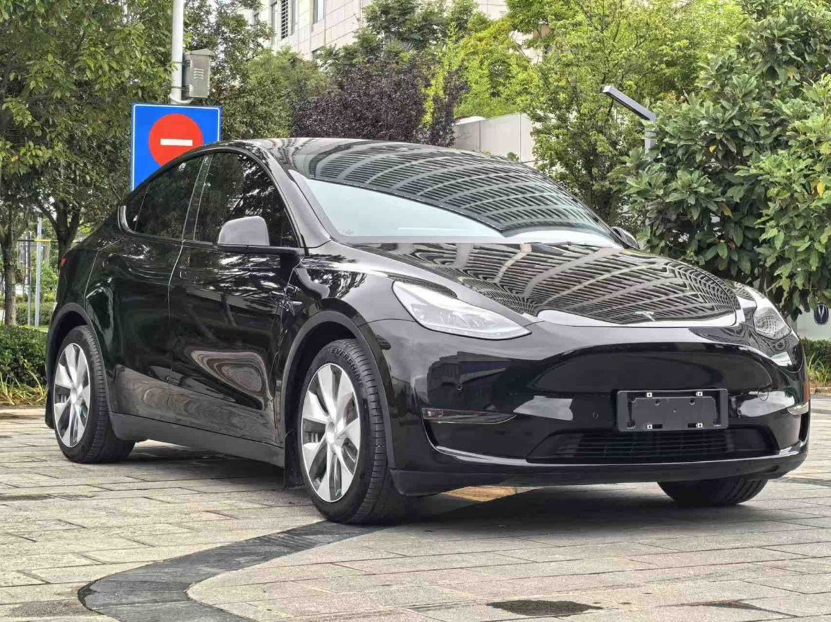 Tesla Model Y 2021 #3 Tesla Model Y 2021 car image #3