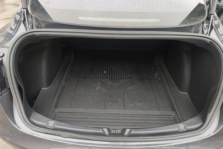 Tesla Model 3 2020 car image #19