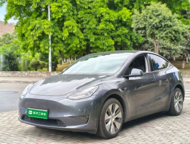 Tesla Model Y 2021 Tesla Model Y 2021 car image