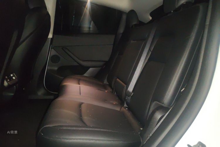 Tesla Model Y 2024 car image #19