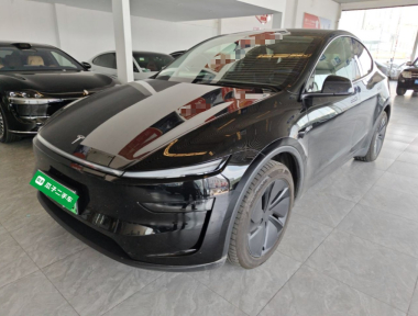 Tesla Model Y 2025 immagine di auto 