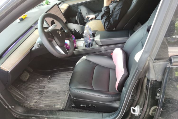 Tesla Model 3 2022 car image #17