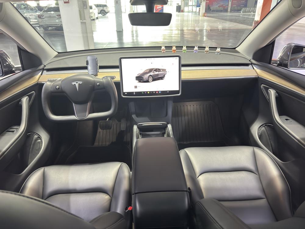 Tesla Model Y 2022 immagine di auto #14