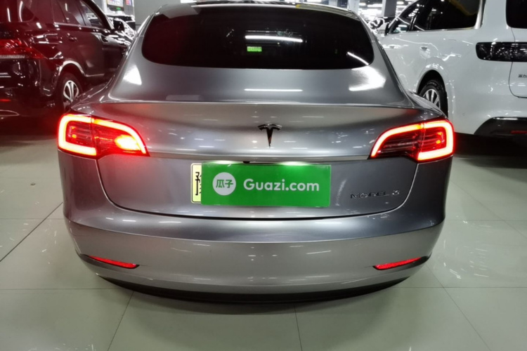 Tesla Model 3 2020 imagem de carro #6