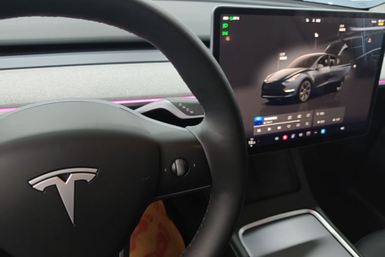 Tesla Model Y 2024 car image #14