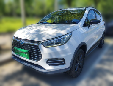 BYD Yuan New Energy 2019 car image 