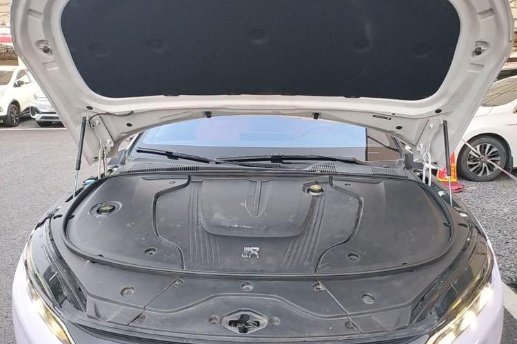 BYD Han 2021 car image #20