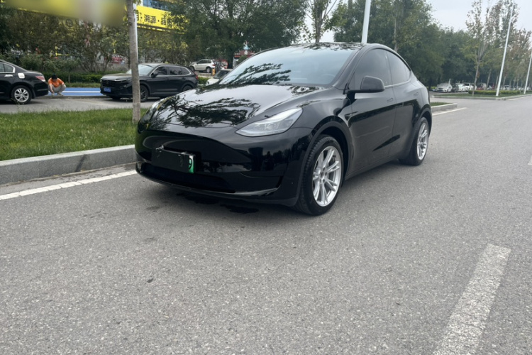 Tesla Model Y 2023 #2 Tesla Model Y 2023 car image #2