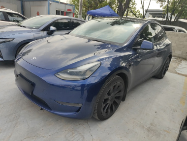 Tesla Model Y 2021 Tesla Model Y 2021 car image