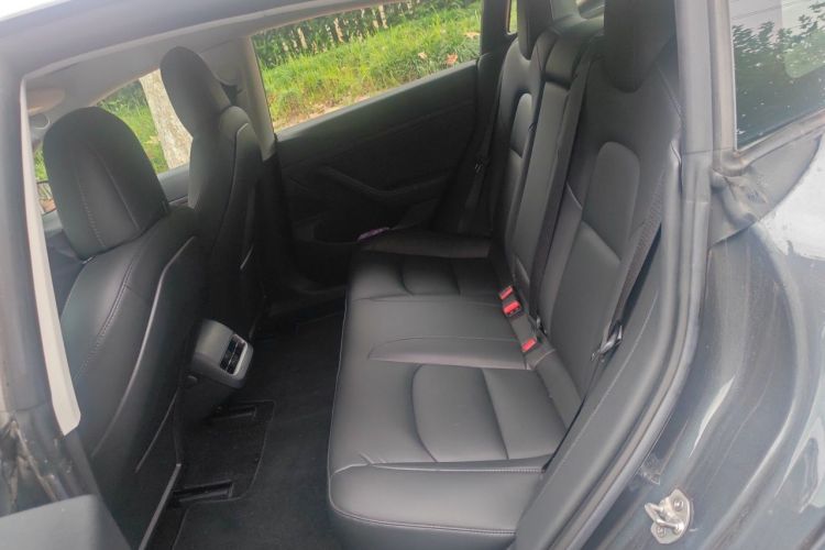 Tesla Model 3 2020 car image #10