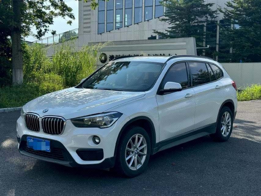 BMW X1 2019 car image 
