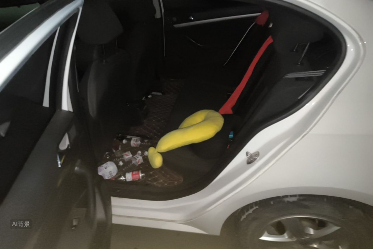 Volkswagen Lavida 2020 car image #19