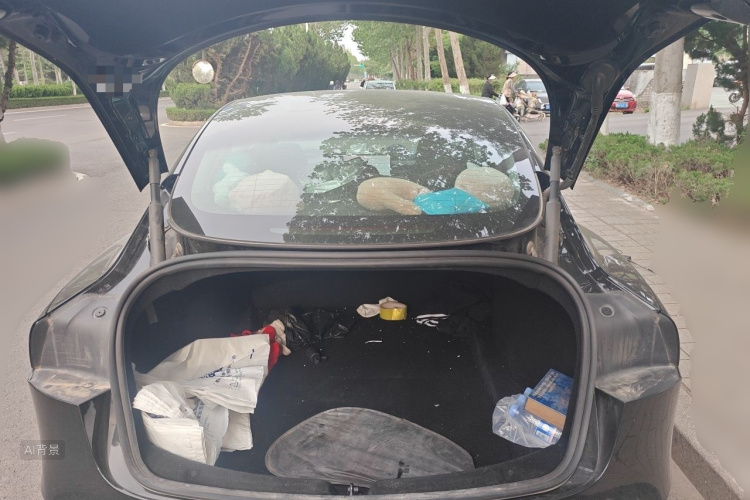 Tesla Model 3 2023 car image #21