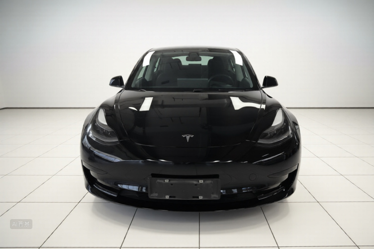 Tesla Model 3 2021 #3 Tesla Model 3 2021 car image #3