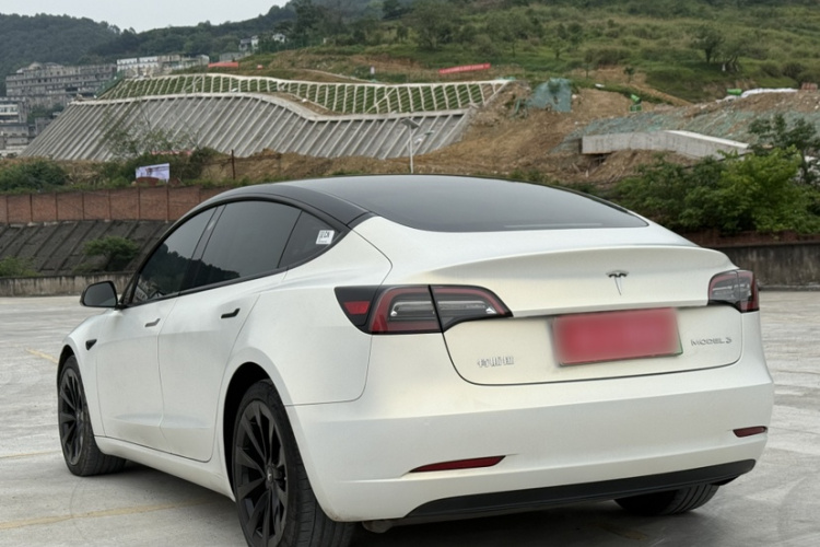 Tesla Model 3 2021 car image #4