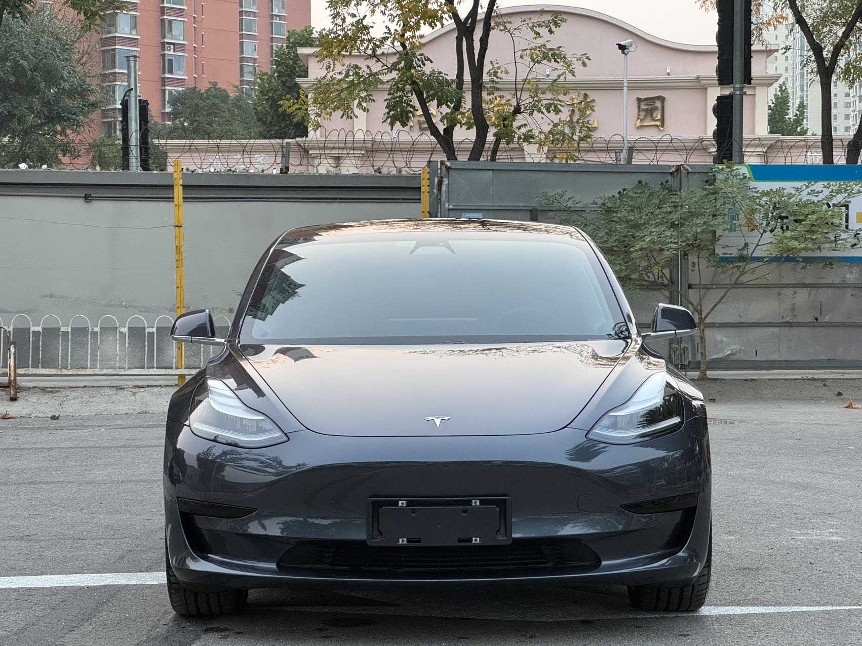 Tesla Model 3 2020 #2 Tesla Model 3 2020 car image #2